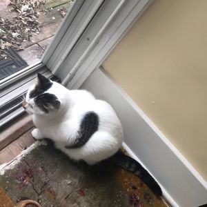 Meet your Posher, Nan